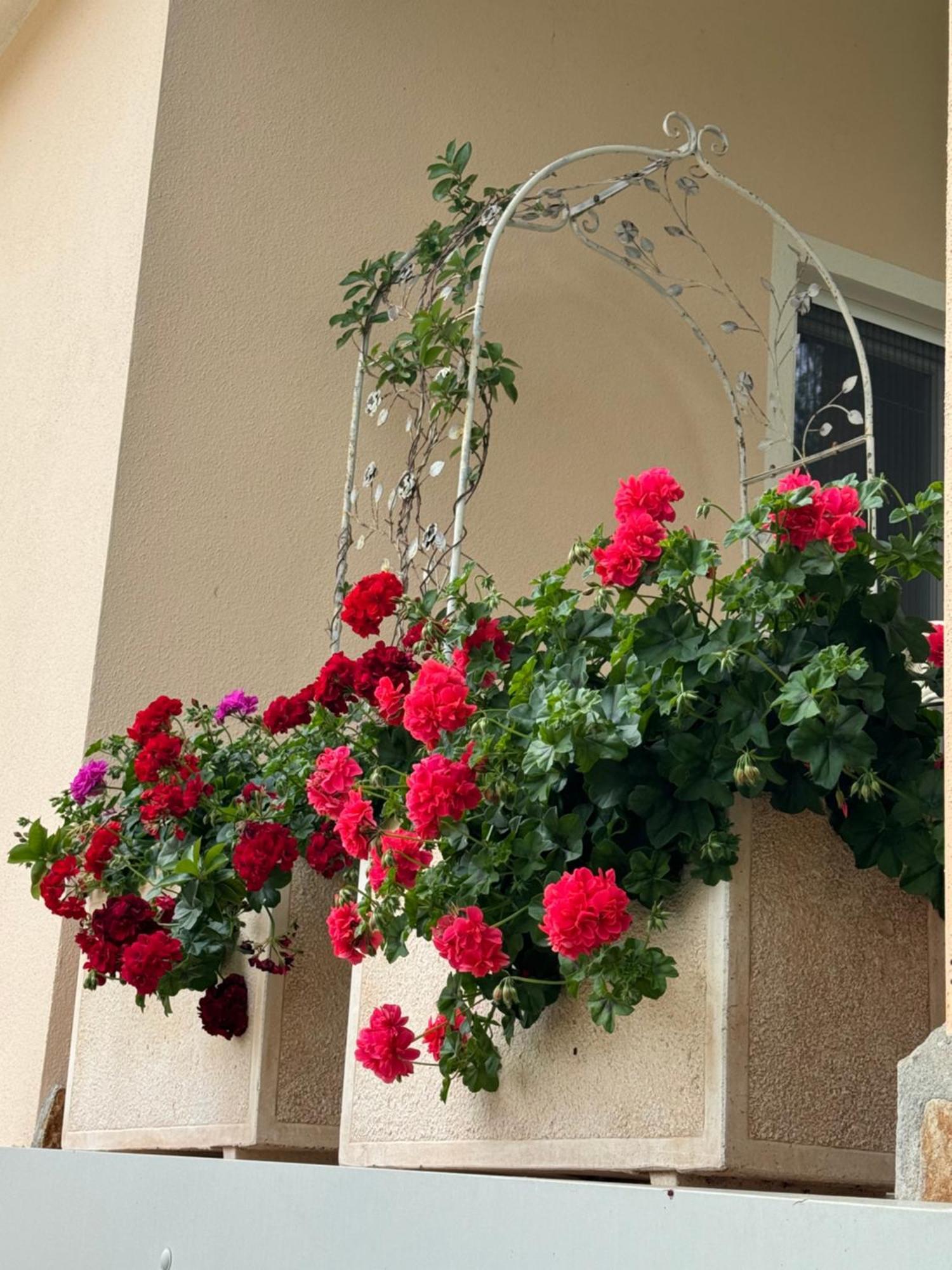 Villa Dei Fiori - Casa Vacanza Capoterra Exterior photo